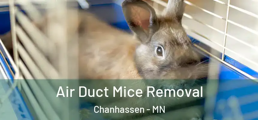  Air Duct Mice Removal Chanhassen - MN