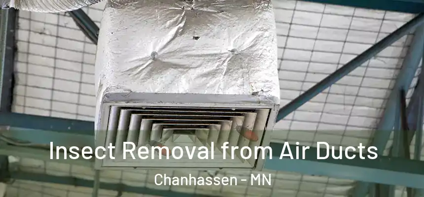 Insect Removal from Air Ducts Chanhassen - MN