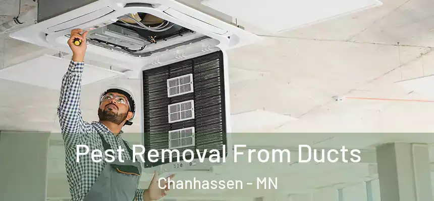 Pest Removal From Ducts Chanhassen - MN