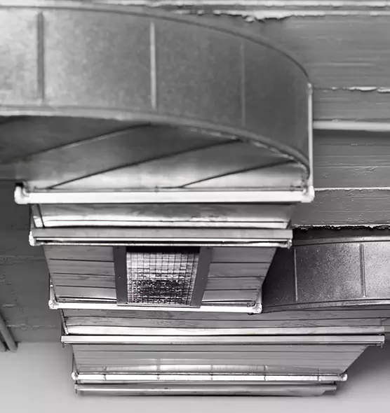 Professional Air Duct Pest Removal in Chanhassen, MN