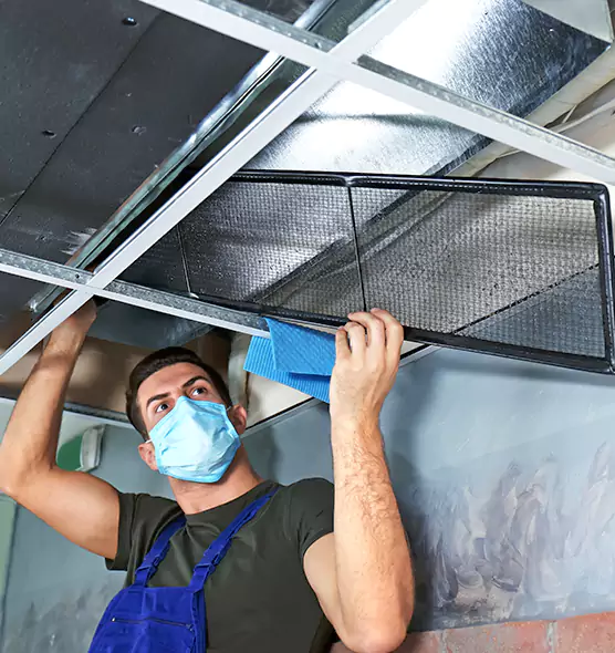 Professional Air Duct Pollen Cleaning in Chanhassen, MN